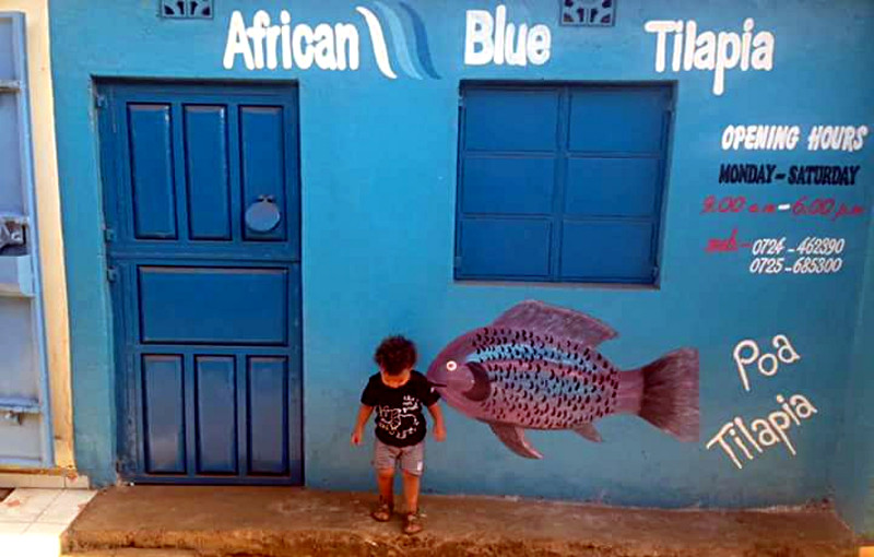 African Blue - Poa Tilapia - Shop at Kisumu - Mamboleo