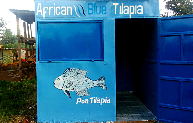African Blue - Poa Tilapia - Shop at Kisumu - Migosi