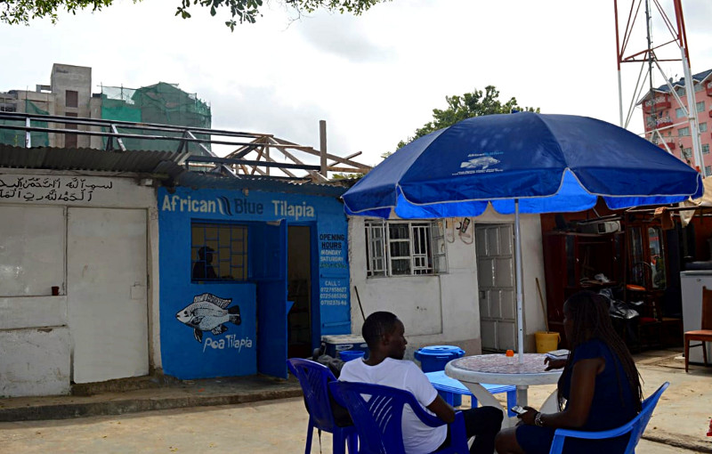 African Blue - Poa Tilapia - Shop at Nairobi - South B